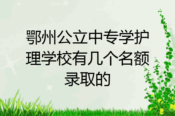 鄂州公立中专学护理学校有几个名额录取的