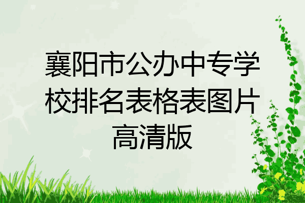 襄阳市公办中专学校排名表格表图片高清版