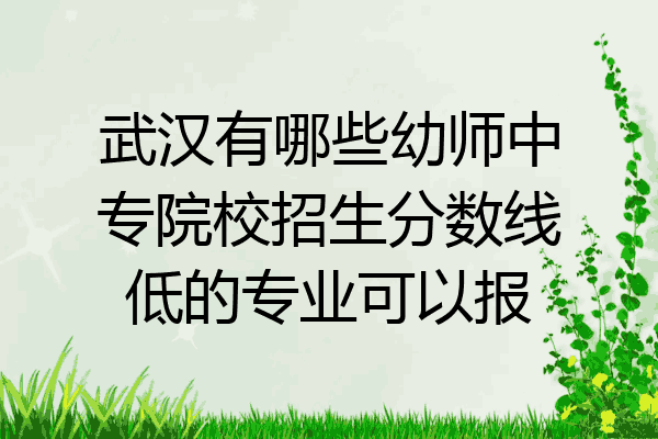 武汉有哪些幼师中专院校招生分数线低的专业可以报