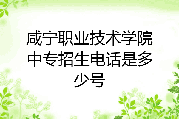 咸宁职业技术学院中专招生电话是多少号