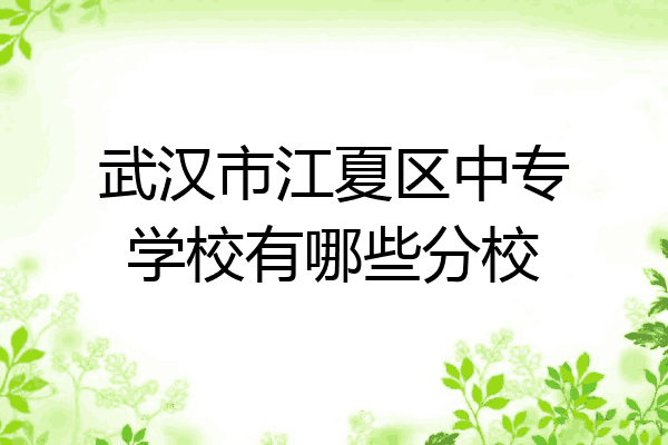 武汉市江夏区中专学校有哪些分校
