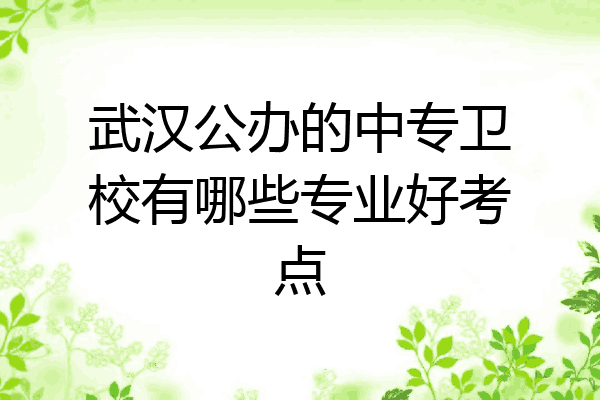武汉公办的中专卫校有哪些专业好考点