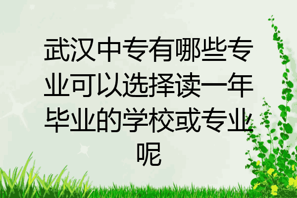 武汉中专有哪些专业可以选择读一年毕业的学校或专业呢