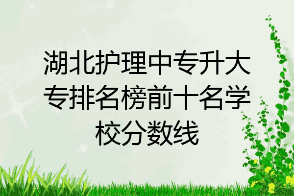 湖北护理中专升大专排名榜前十名学校分数线