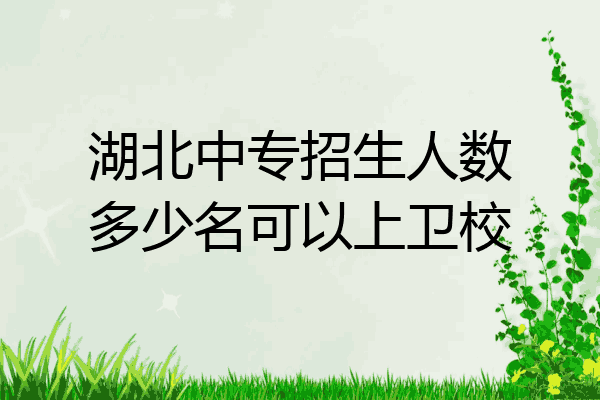 湖北中专招生人数多少名可以上卫校