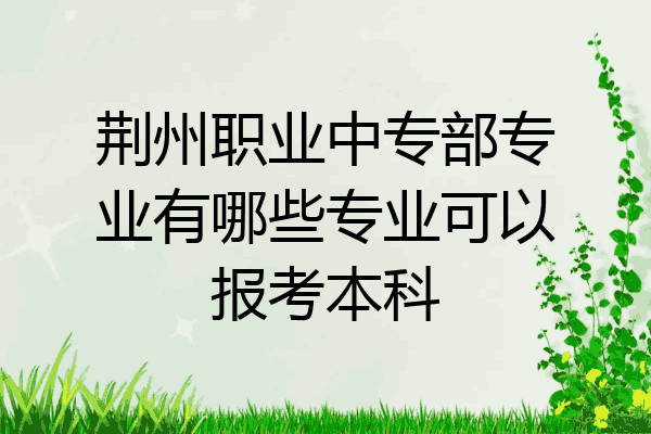 荆州职业中专部专业有哪些专业可以报考本科