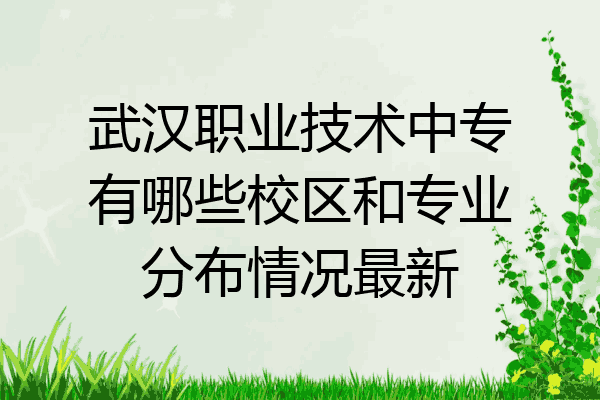 武汉职业技术中专有哪些校区和专业分布情况最新