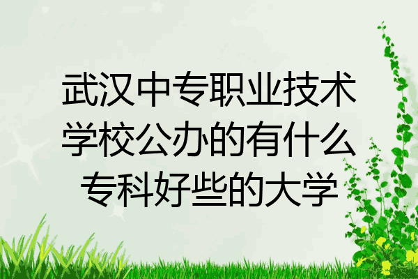 武汉中专职业技术学校公办的有什么专科好些的大学