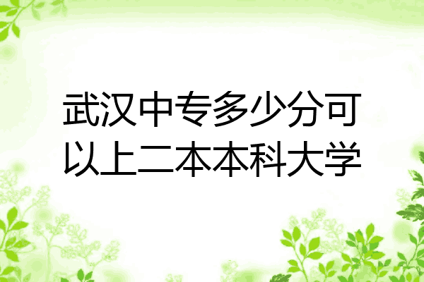 武汉中专多少分可以上二本本科大学