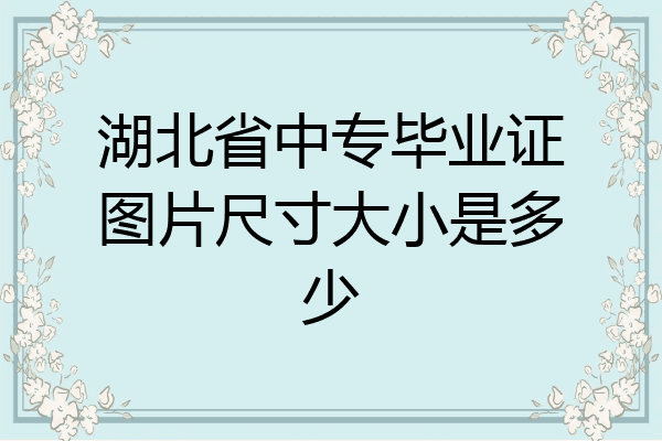 湖北省中专毕业证图片尺寸大小是多少