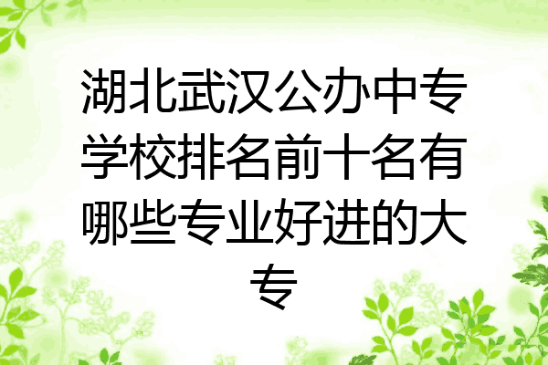 湖北武汉公办中专学校排名前十名有哪些专业好进的大专
