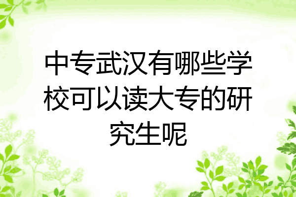 中专武汉有哪些学校可以读大专的研究生呢
