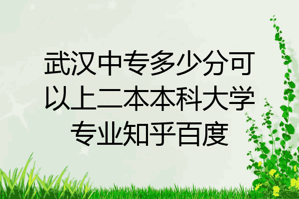 武汉中专多少分可以上二本本科大学专业知乎百度
