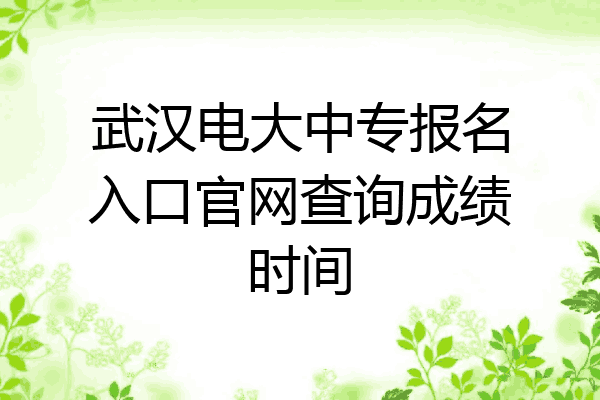 武汉电大中专报名入口官网查询成绩时间