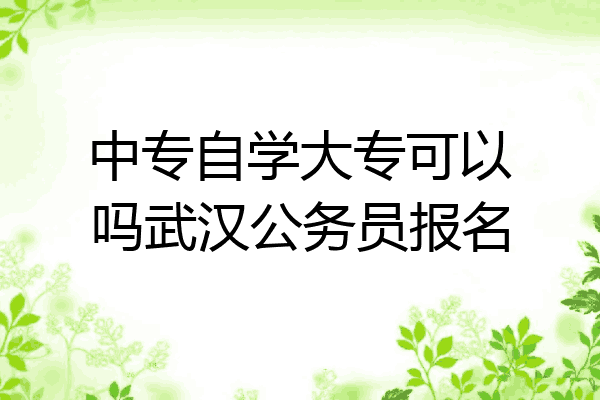 中专自学大专可以吗武汉公务员报名