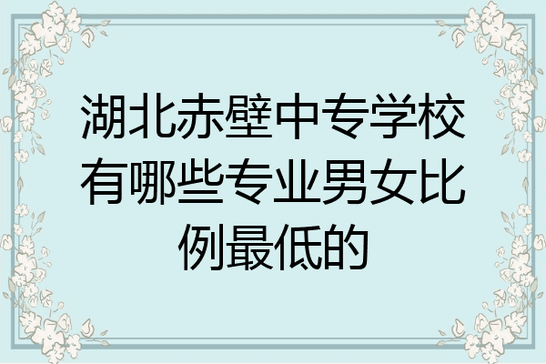 湖北赤壁中专学校有哪些专业男女比例最低的