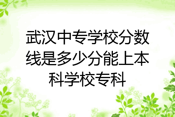 武汉中专学校分数线是多少分能上本科学校专科