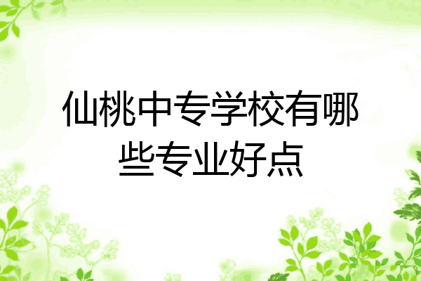 仙桃中专学校有哪些专业好点