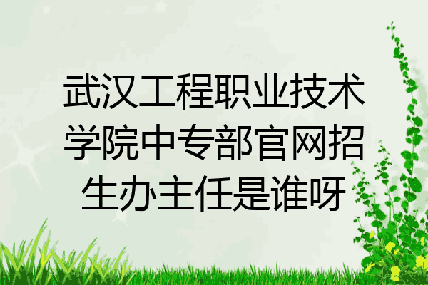 武汉工程职业技术学院中专部官网招生办主任是谁呀