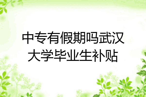 中专有假期吗武汉大学毕业生补贴