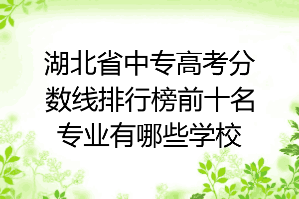 湖北省中专高考分数线排行榜前十名专业有哪些学校
