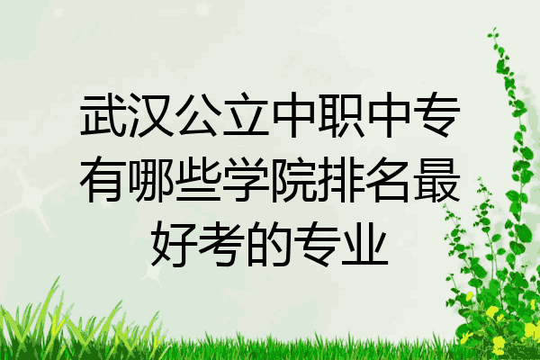 武汉公立中职中专有哪些学院排名最好考的专业