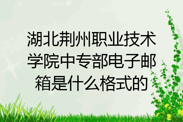 湖北荆州职业技术学院中专部电子邮箱是什么格式的