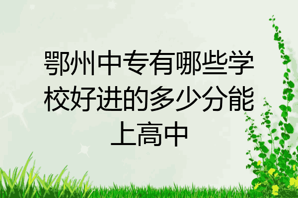 鄂州中专有哪些学校好进的多少分能上高中