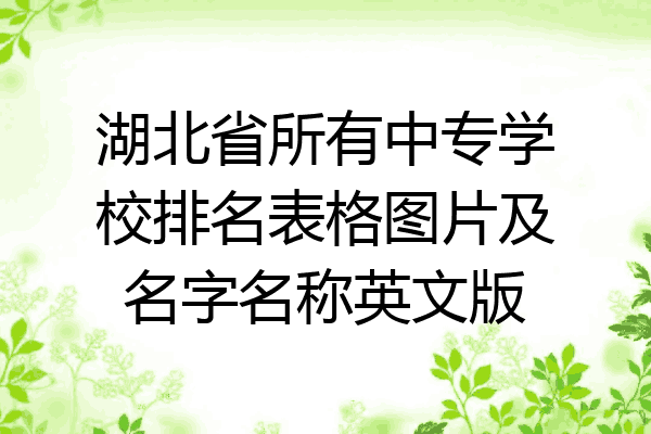 湖北省所有中专学校排名表格图片及名字名称英文版