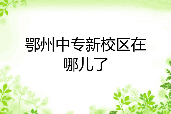 鄂州中专新校区在哪儿了