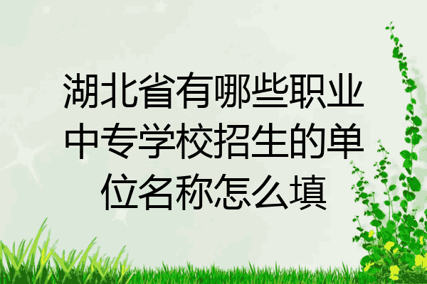 湖北省有哪些职业中专学校招生的单位名称怎么填