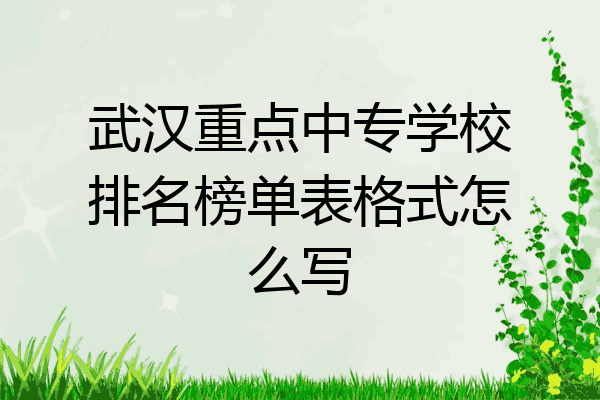 武汉重点中专学校排名榜单表格式怎么写