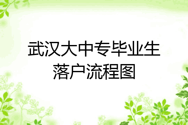 武汉大中专毕业生落户流程图