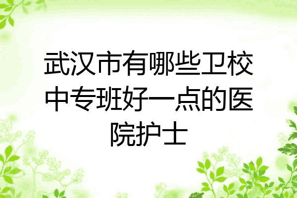 武汉市有哪些卫校中专班好一点的医院护士