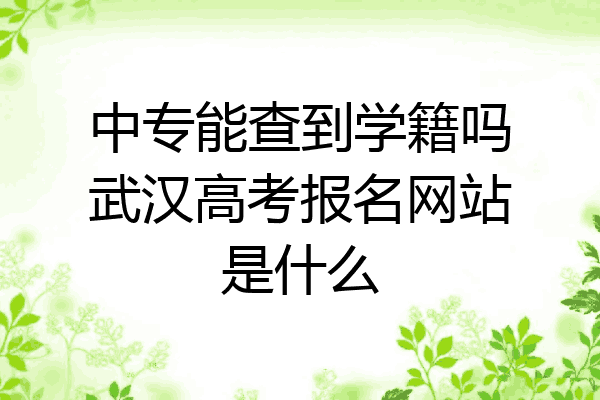 中专能查到学籍吗武汉高考报名网站是什么