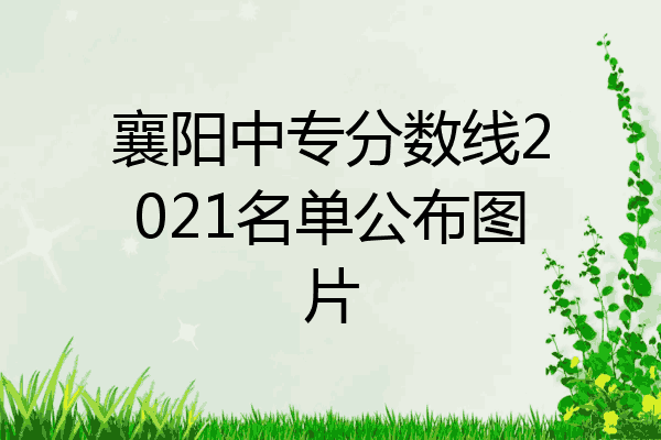 襄阳中专分数线2021名单公布图片