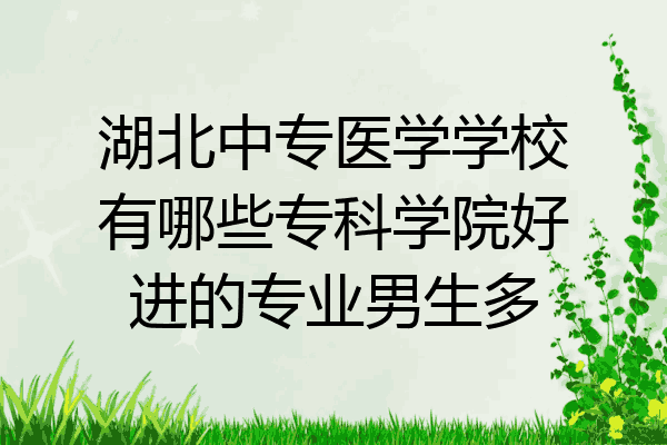 湖北中专医学学校有哪些专科学院好进的专业男生多