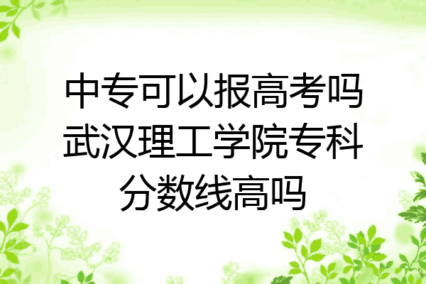 中专可以报高考吗武汉理工学院专科分数线高吗