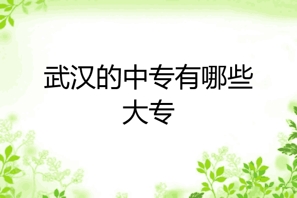 武汉的中专有哪些大专
