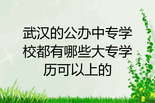 武汉的公办中专学校都有哪些大专学历可以上的
