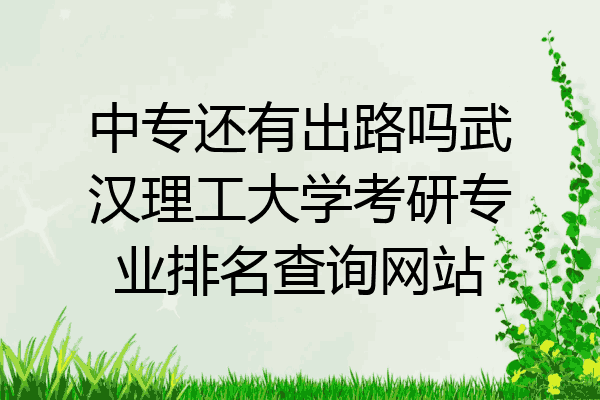 中专还有出路吗武汉理工大学考研专业排名查询网站