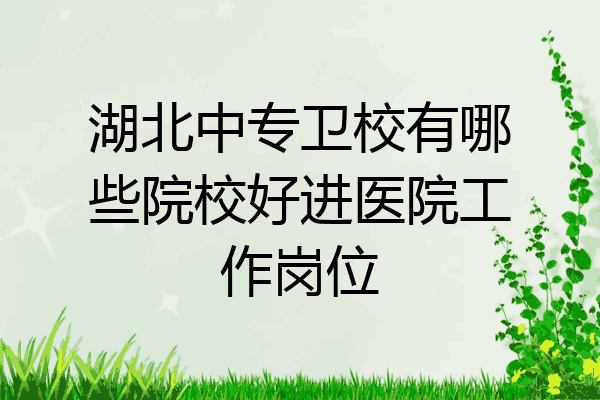 湖北中专卫校有哪些院校好进医院工作岗位