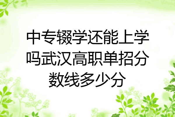 中专辍学还能上学吗武汉高职单招分数线多少分