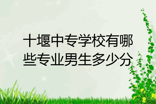 十堰中专学校有哪些专业男生多少分