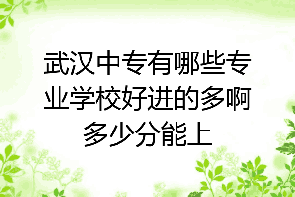 武汉中专有哪些专业学校好进的多啊多少分能上