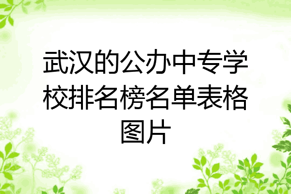 武汉的公办中专学校排名榜名单表格图片