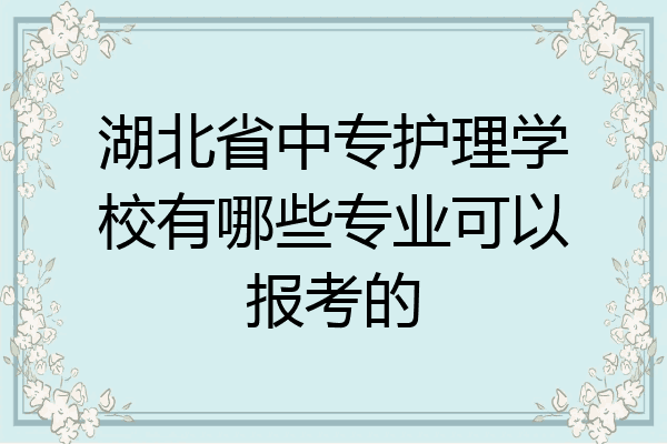 湖北省中专护理学校有哪些专业可以报考的