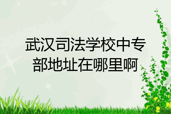 武汉司法学校中专部地址在哪里啊