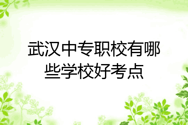 武汉中专职校有哪些学校好考点