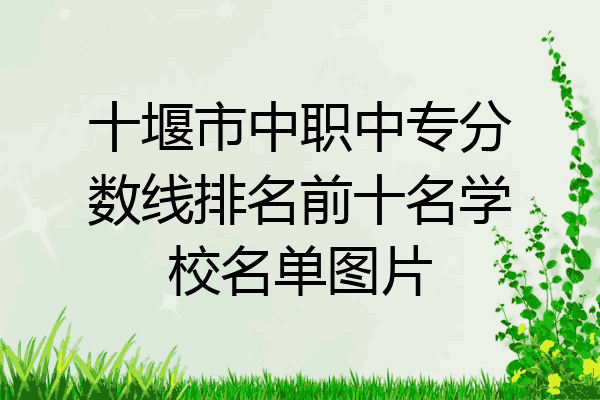 十堰市中职中专分数线排名前十名学校名单图片